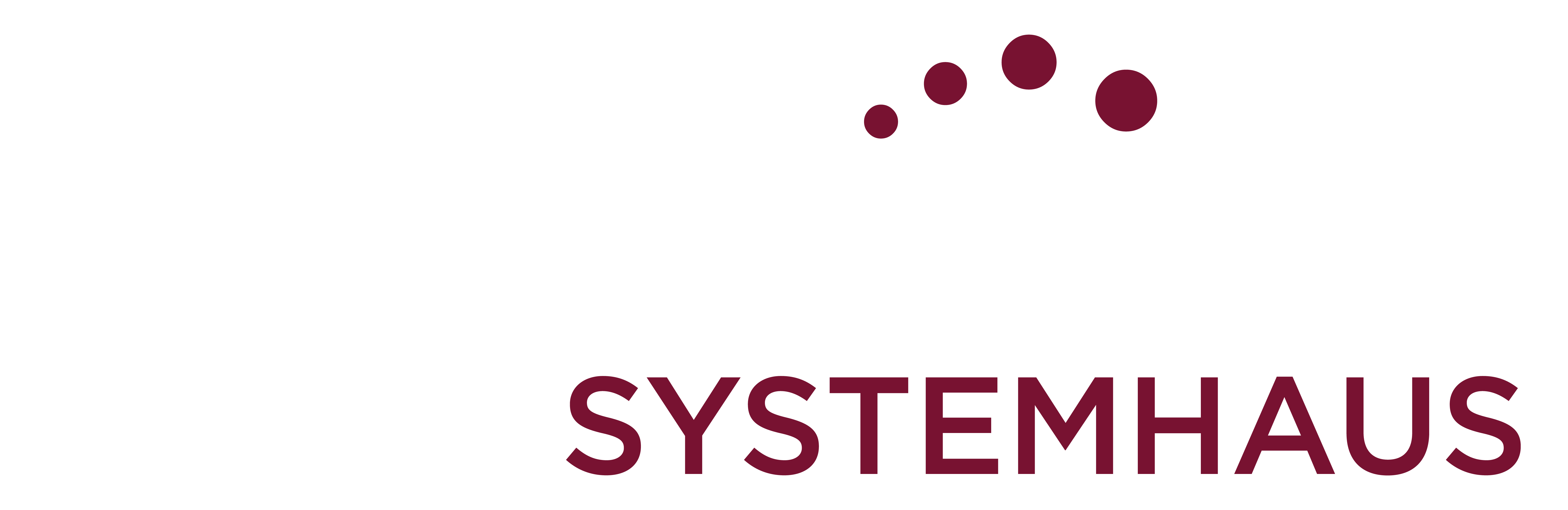 SYNECTIVE Systemhaus GmbH & Co. KG